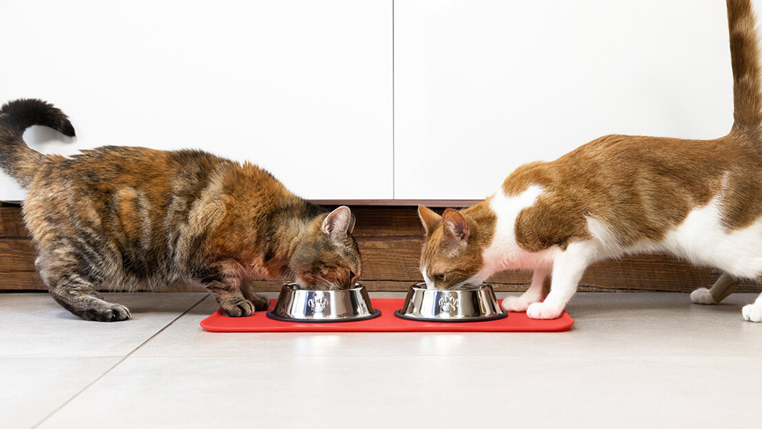 Pets at home hypoallergenic cat outlet food